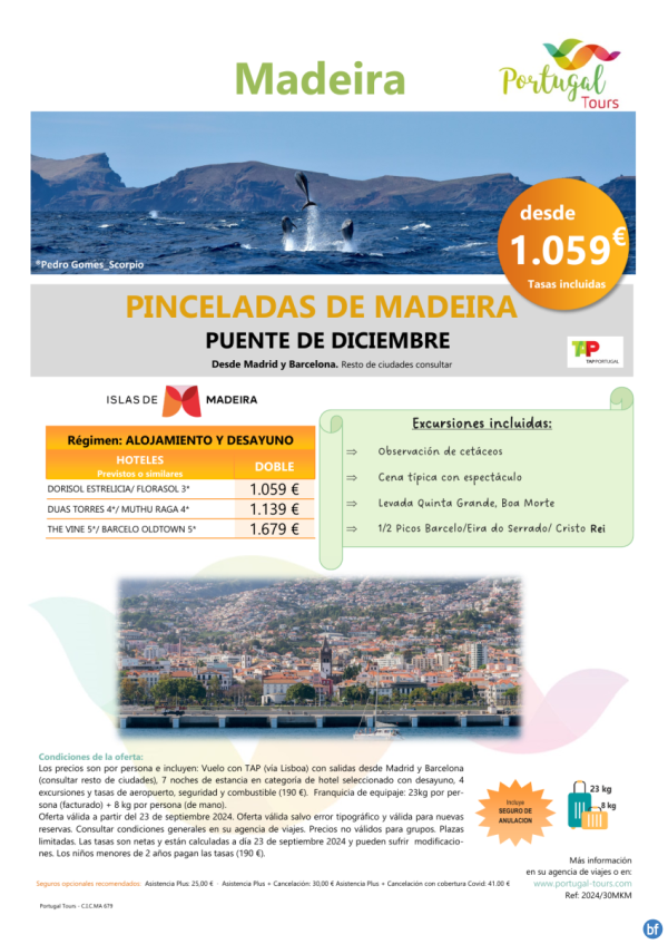 Programa **Pinceladas de MADEIRA** - Puente de Diciembre desde pennsula 8d/7n- hotel 3* desde slo 1.059 € 