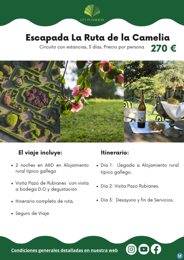 Escapada Enolgica y Pazos de Galicia a tu aire. La Ruta de la Camelia. 3 das/2 noches en A&D en Hoteles 270 € 