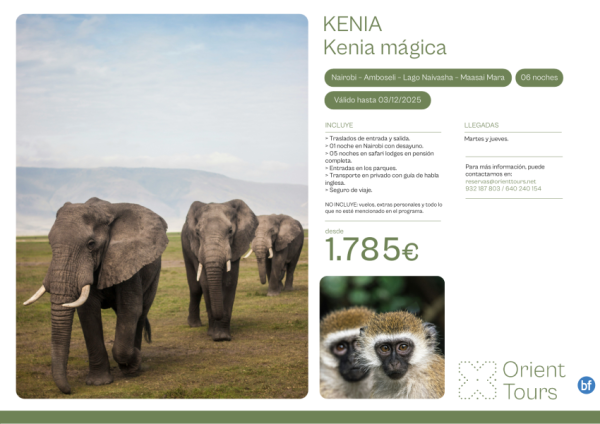 Kenia. Safari  x 6 noches con pensin completa y sin vuelos. Salida martes y jueves.