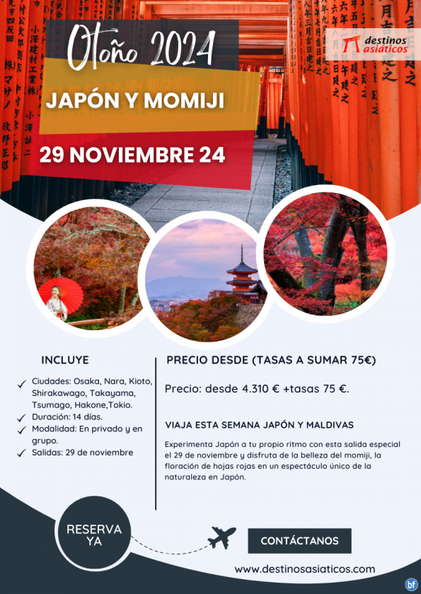 JAPÓN - Salida especial en otoño 29 de noviembre. Plazas limitadas ¡Reserva ahora!