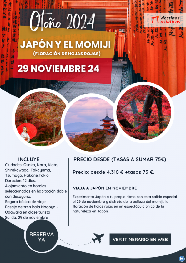 JAPÓN - Salida especial en otoño 29 de noviembre. Plazas limitadas ¡Reserva ahora!