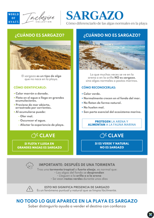 Sargazo en el Caribe: cómo identificarlo y qué zonas no lo reciben