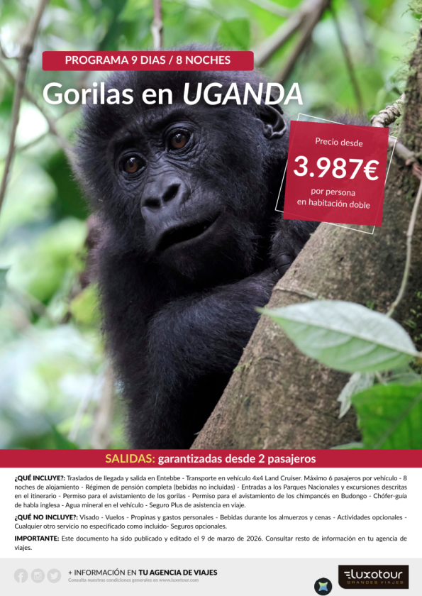 Gorilas en Uganda